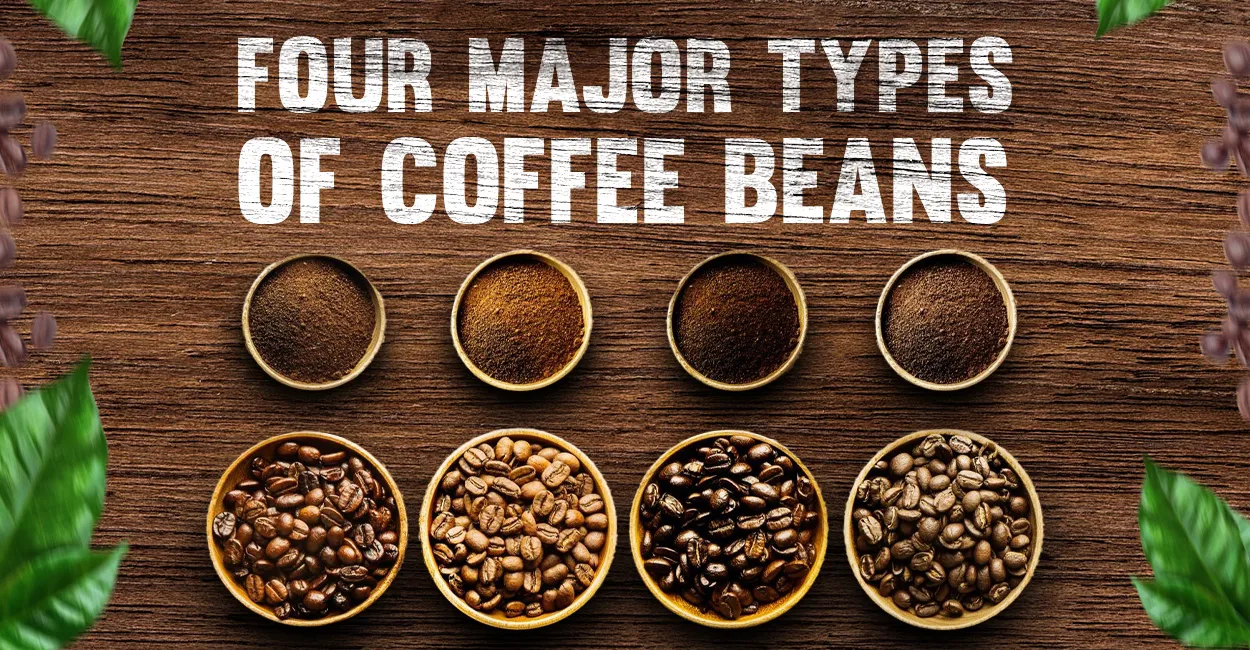 Types of Coffee Beans