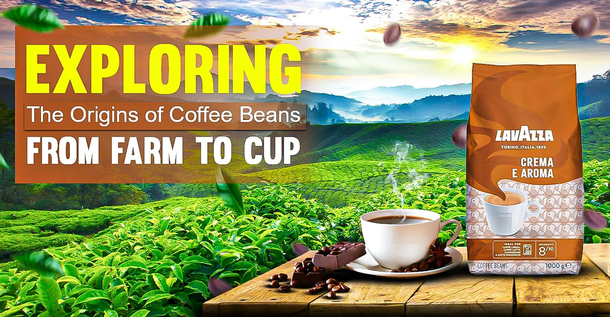 Coffee Bean Origins