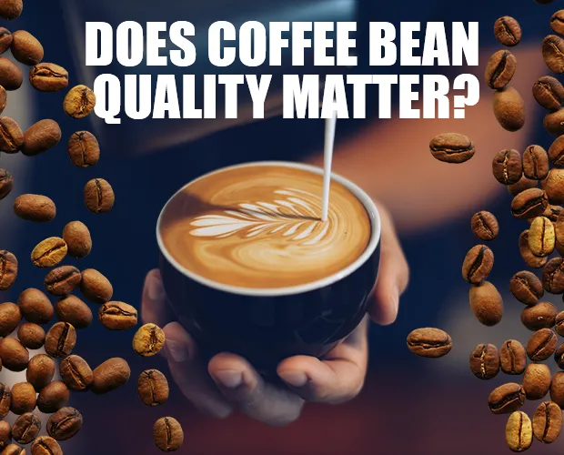 coffee bean quality